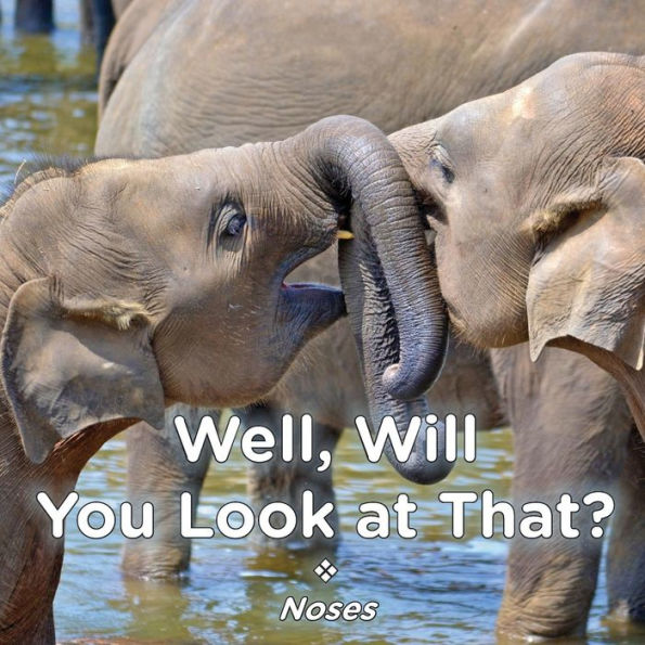 Well, Will You Look At That? Noses