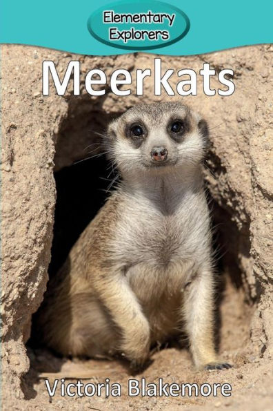 Meerkats - 9781947439078
