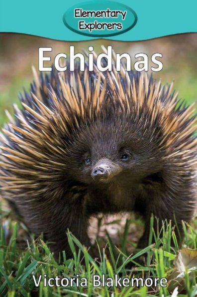 Echidnas (14) (Elementary Explorers) - 9781947439092