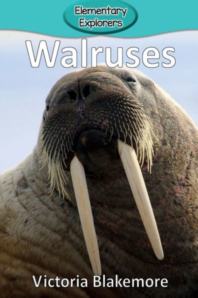 Walruses - 9781947439115