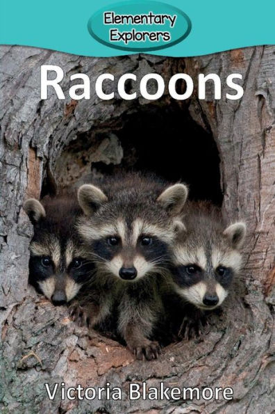Raccoons - 9781947439122