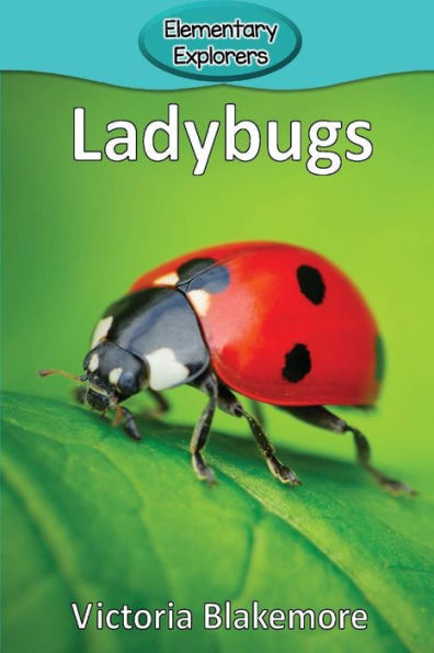 Ladybugs (23) (Elementary Explorers) - 9781947439269