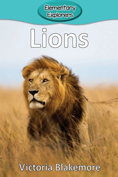 Lions - 9781947439405