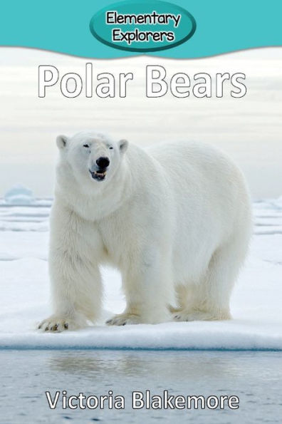 Polar Bears - 9781947439689