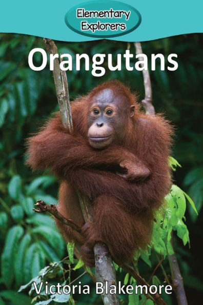 Orangutans - 9781947439733