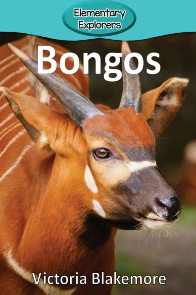 Bongos (56) (Elementary Explorers)