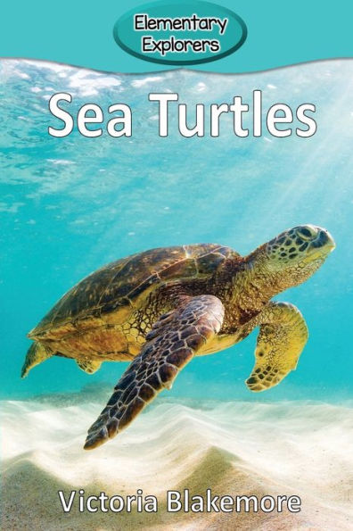 Sea Turtles - 9781947439948