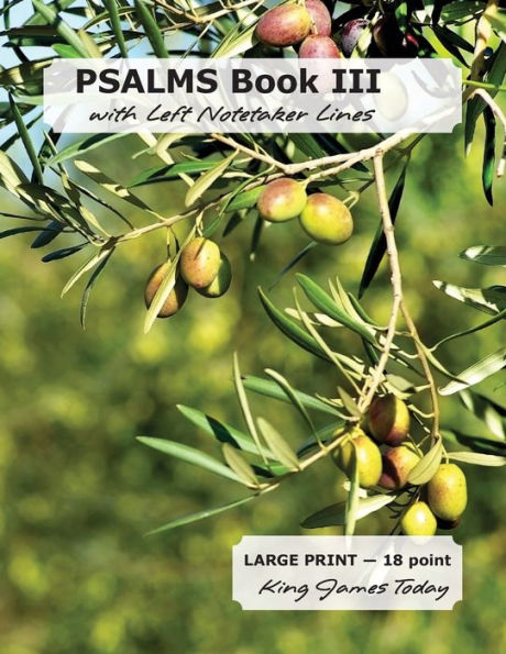 Psalms Book Iii With Left Notetaker Lines : Large Print, King James Today
