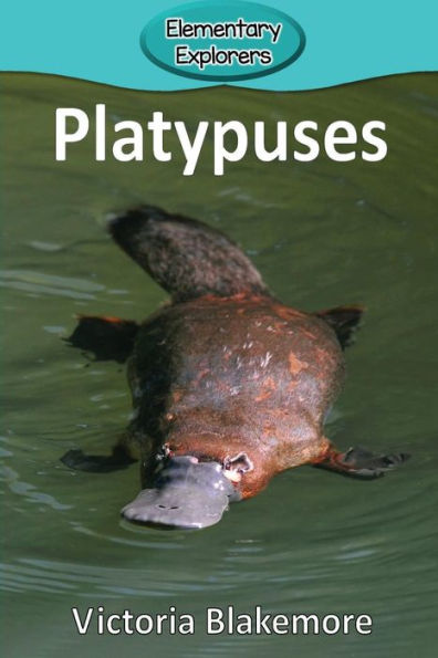 Platypuses - 9781948388061