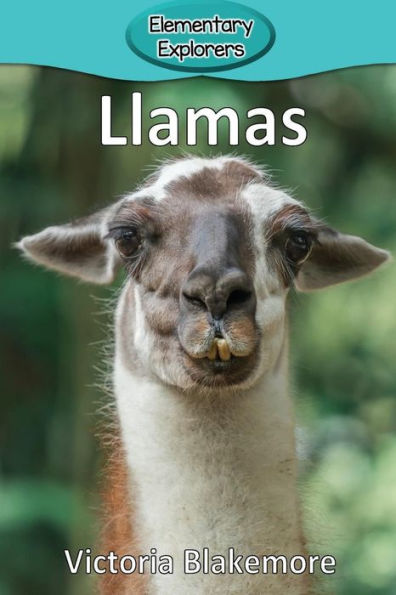 Llamas - 9781948388580