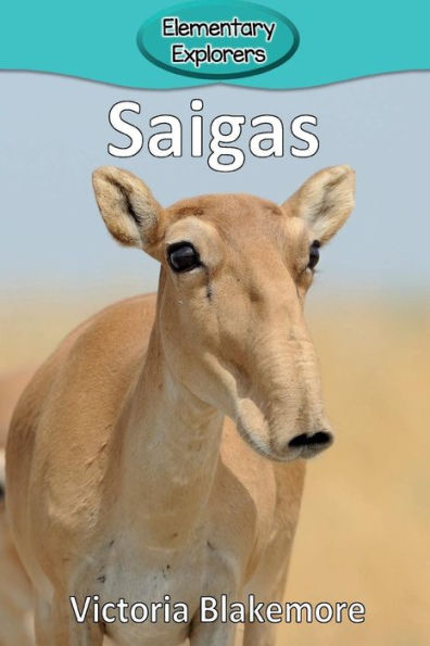 Saigas - 9781948388863