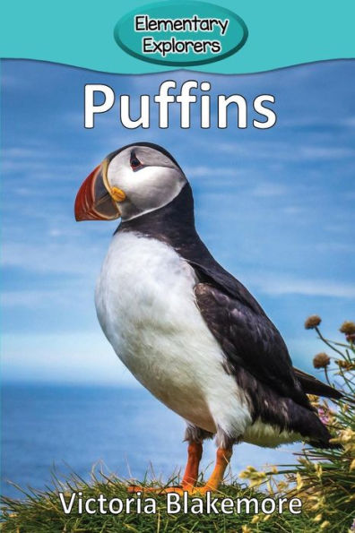 Puffins - 9781948388887