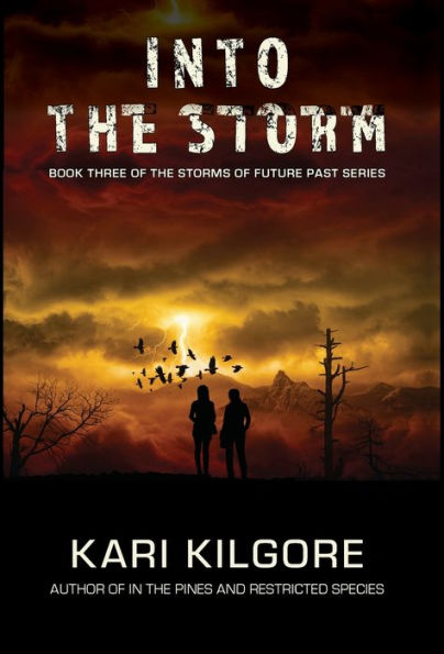 Into the Storm (Storms of Future Past)
