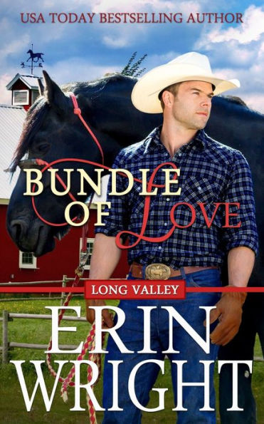 Bundle of Love: Un romance secreto para bebés del oeste (Cowboys of Long Valley Romance)