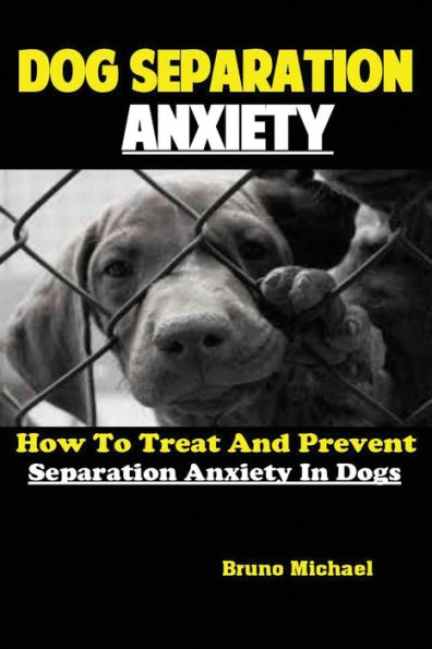 Dog Separation Anxiety: How To Treat And Prevent Separation Anxiety In Dogs - 9781951737146