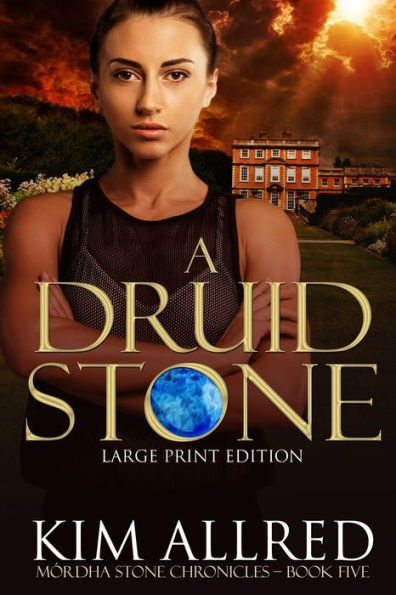 A Druid Stone: A Time Travel Romantic Adventure, Book 5 (M�rdha Stone Chronicles)
