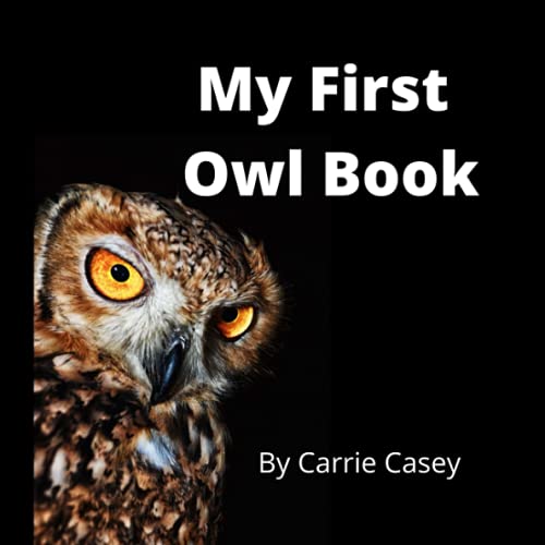 My First Owl Book: A Rhyming Animal Book For Young Children