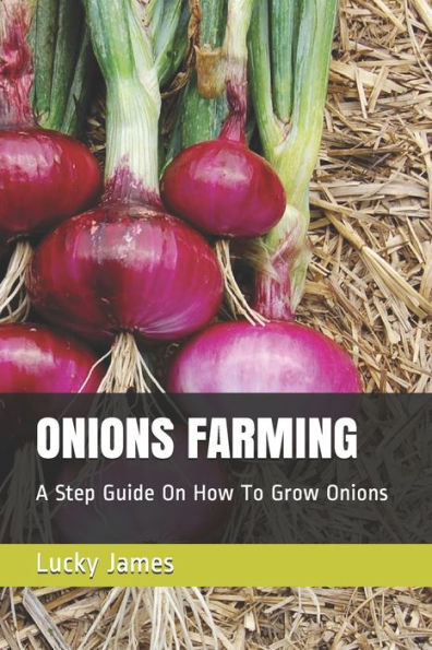 Onions Farming : A Step Guide On How To Grow Onions