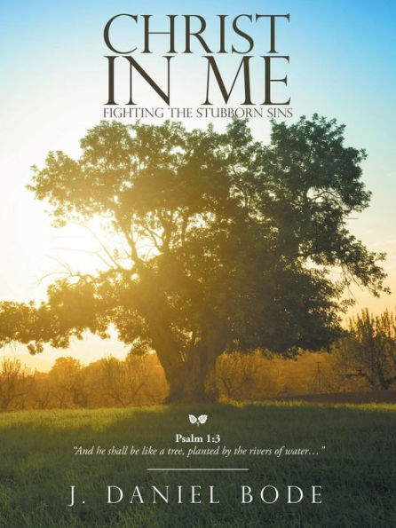 Christ in Me: Fighting the Stubborn Sins