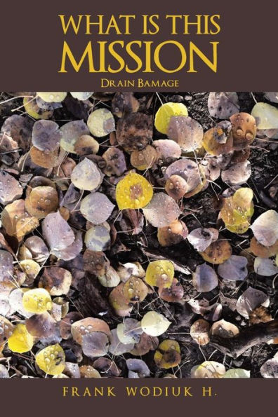 What Is This Mission : Drain Bamage