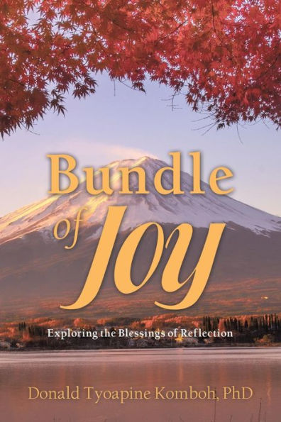 Bundle of Joy: Explorando las bendiciones de la reflexión