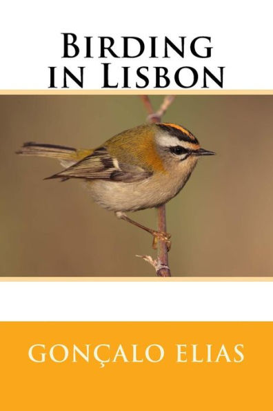 Observación de aves en Lisboa