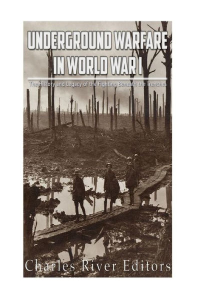 Underground Warfare In World War I : The History And Legacy Of The Fighting Beneath And Between The Trenches - 9781973919452