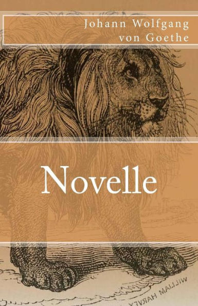 Novelle - 9781973935964
