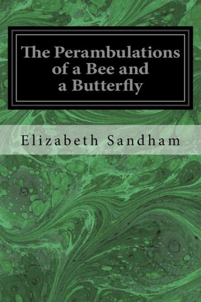 The Perambulations Of A Bee And A Butterfly