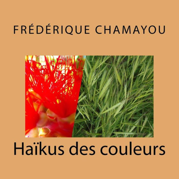 Haïkus des couleurs (French Edition)