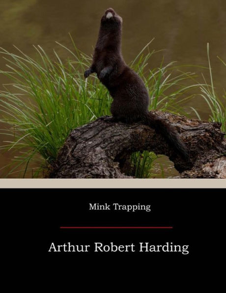 Mink Trapping - 9781974355822