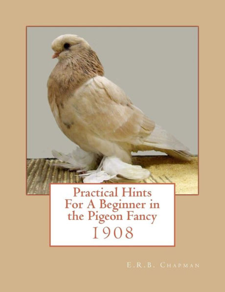 Practical Hints For A Beginner In The Pigeon Fancy - 9781974590223