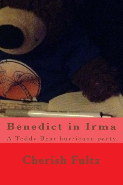 Benedicto XVI en Irma: una fiesta del huracán Teddy Bear