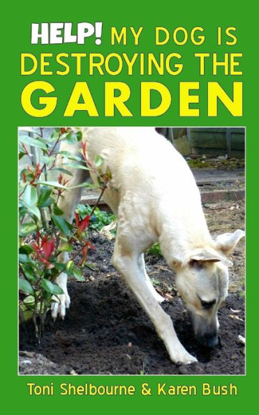 Help! My Dog is Destroying the Garden