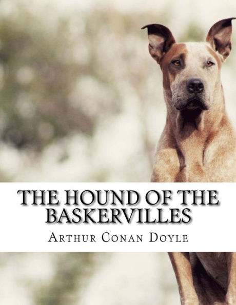 The Hound Of The Baskervilles - 9781976594588