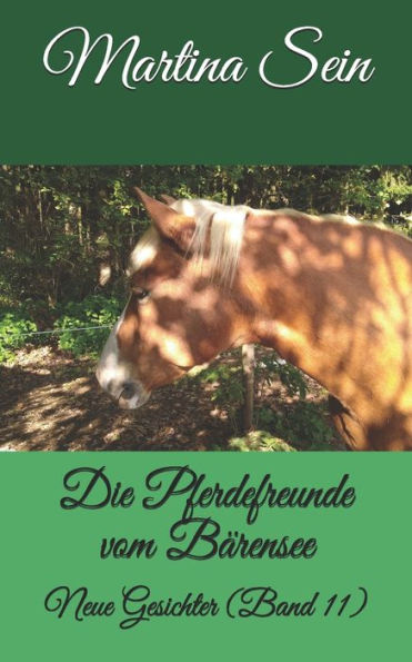 Die Pferdefreunde vom B?rensee: Neue Gesichter (German Edition)