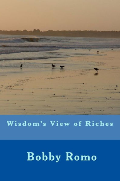 Wisdom'S View Of Riches