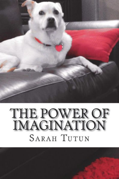 The Power Of Imagination - 9781977840615