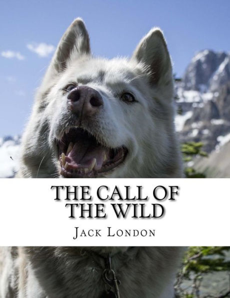 The Call Of The Wild - 9781977868565