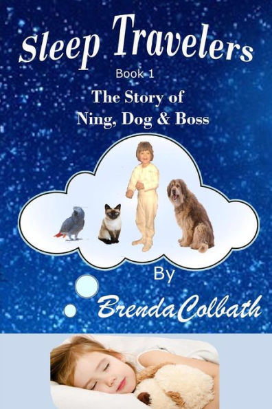 Sleep Travelers : The Story Of Ning, Dog, & Boss