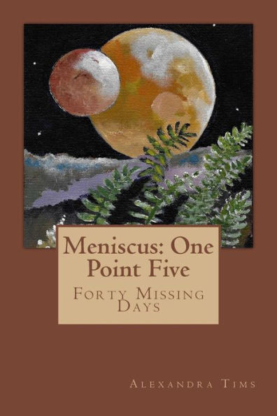 Meniscus : One Point Five
