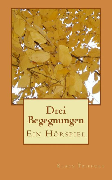 Drei Begegnungen: Ein H?rspiel (German Edition)