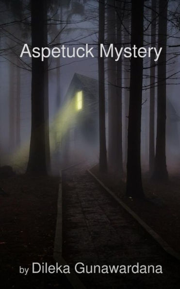 Aspetuck Mystery