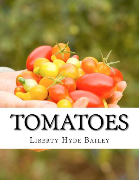 Tomatoes
