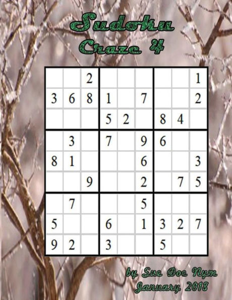 Sudoku Craze 4