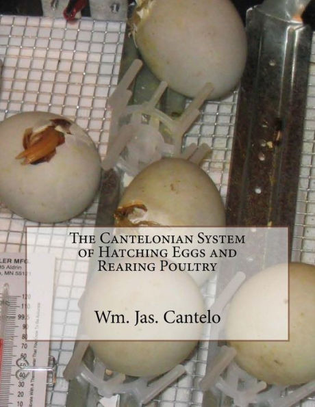 The Cantelonian System Of Hatching Eggs And Rearing Poultry