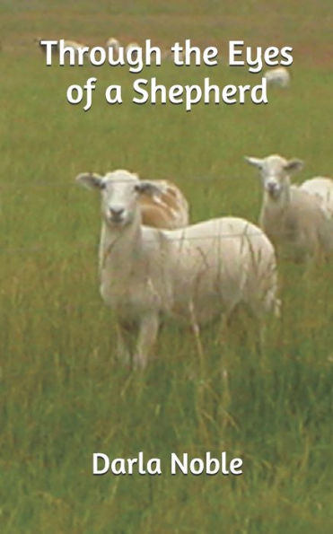 Through The Eyes Of A Shepherd - 9781979664790