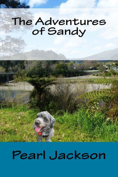 The Adventures Of Sandy