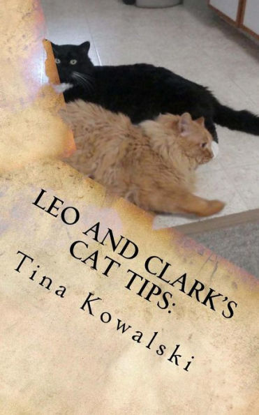Leo And Clark's Cat Tips : 21 Ways To Submiss Your Human