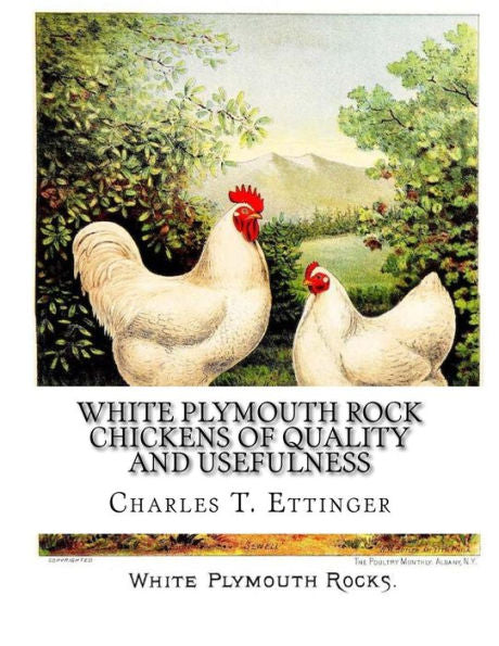 White Plymouth Rock Chickens Of Quality And Usefulness : A Poultry Catalog Of Maple Farm Of Midlothian